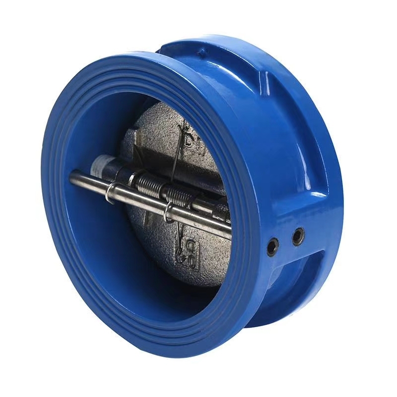 Dual Plate Check Valve