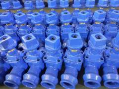 承插端弹性阀座闸阀