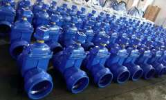 承插端弹性阀座闸阀