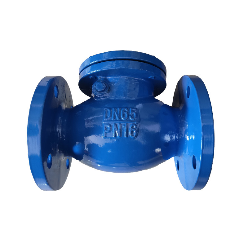 DIN Swing Check Valve