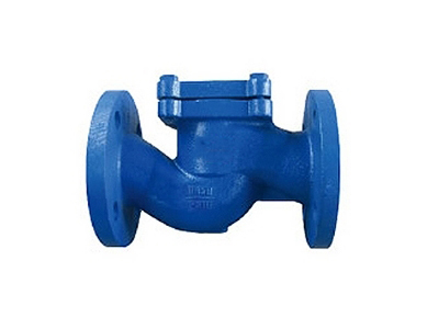 DIN Lift Check Valve