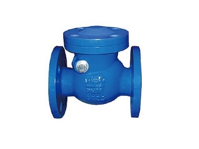 DIN Swing Check Valve