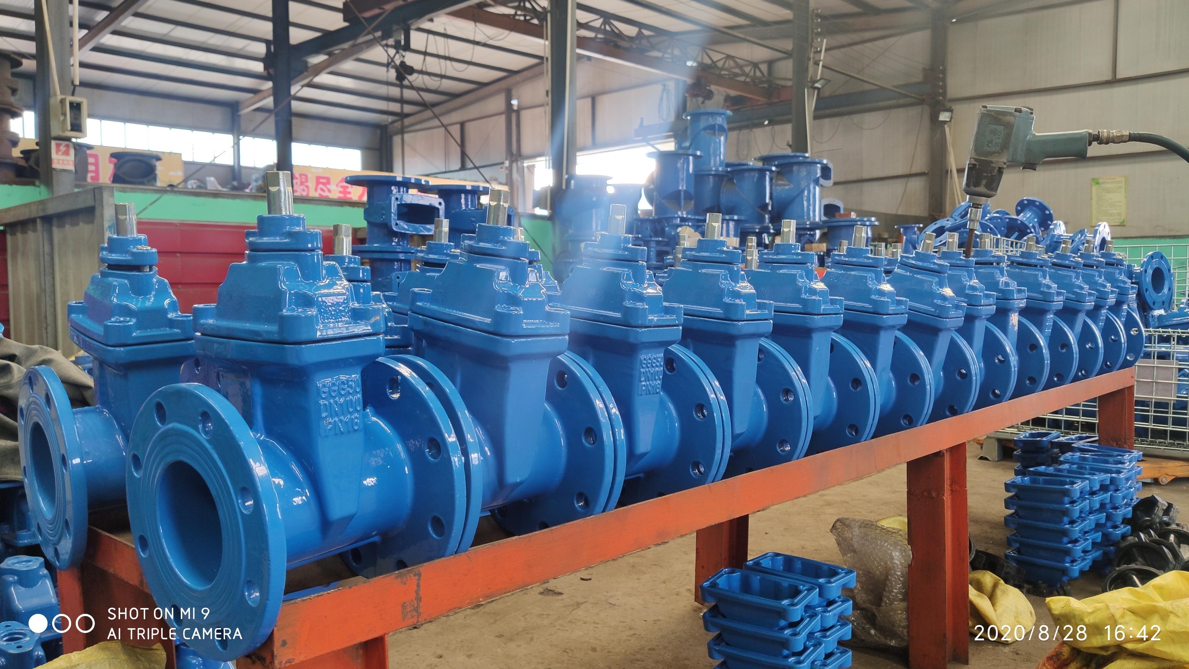 DIN Resilient Seat Non Rising Stem Gate Valve F4/F5
