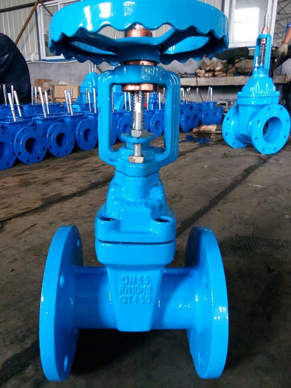 DIN Resilient Seat Gate Valve F4/F5