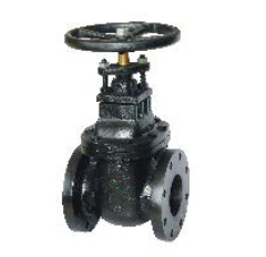 125LB Non Rising Stem Gate Valv