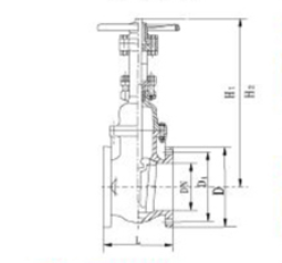 125LB Gate Valvee