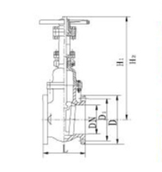 250LB Gate Valve
