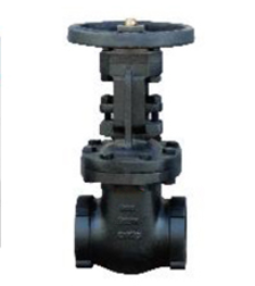 125LB Screw End Gate Valve