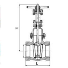 125LB Screw End Gate Valve