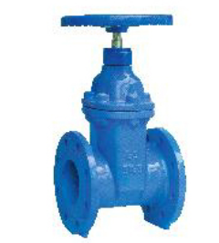 Bs 5163 Resilient Seat Non-rising Stem Gate Valve