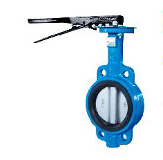 无针对夹式和耳式蝶阀