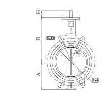 无针对夹式和耳式蝶阀