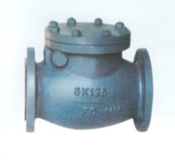 Cast Iron swing Check Valves JIS F7372 5K