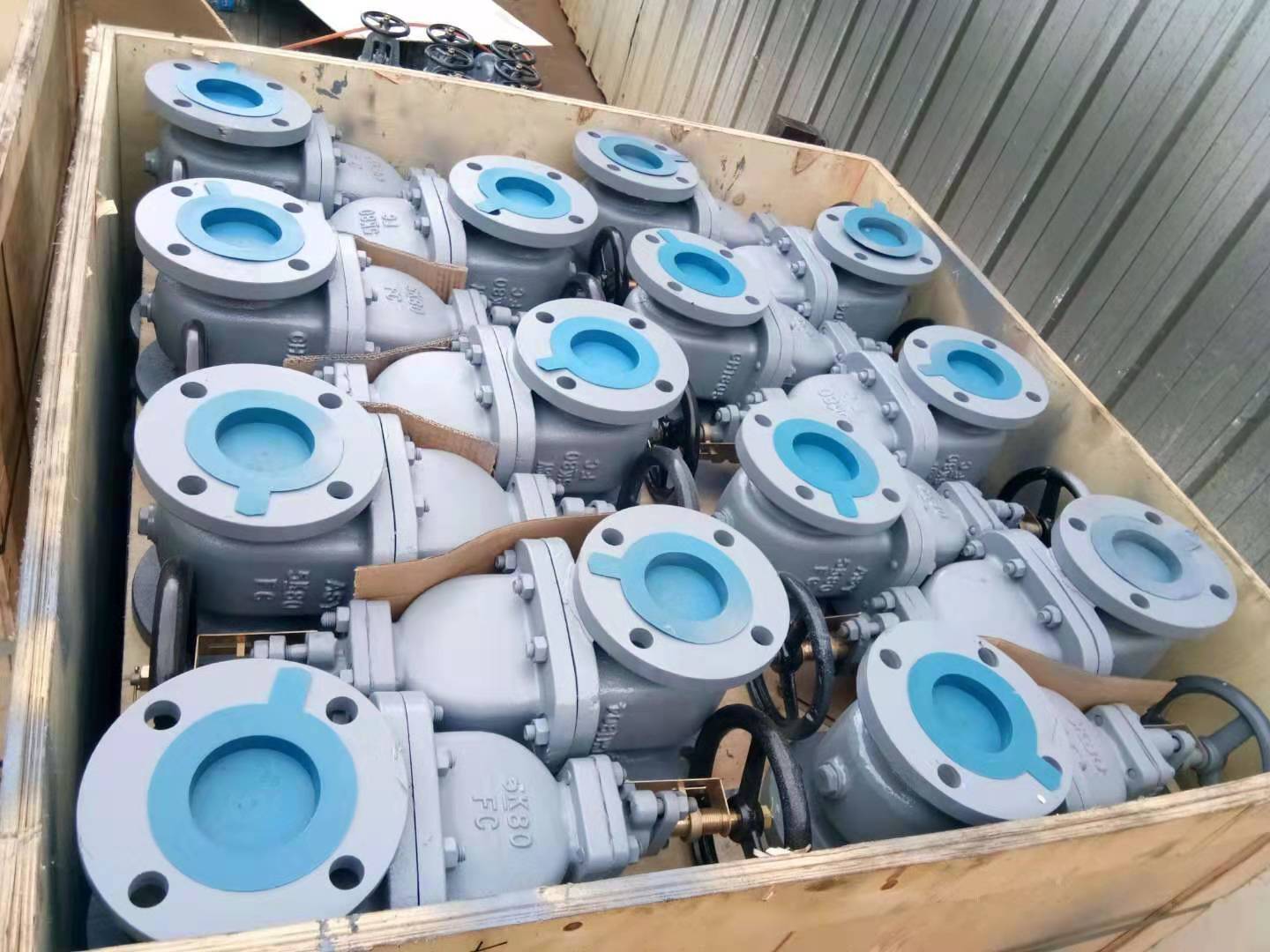 Marine Cast Steel Gate Valves JIS 7363C 5K