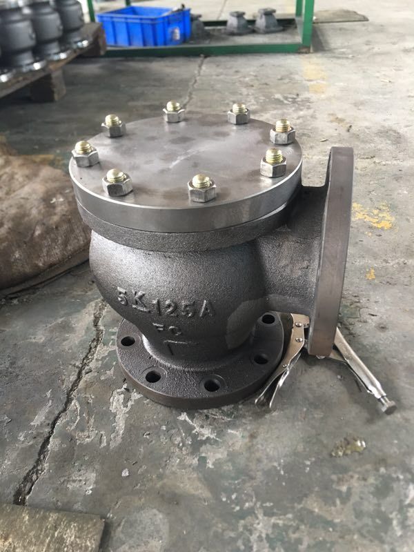 Marine Cast Iron Lift Check Globe Valves JIS F7358 5K