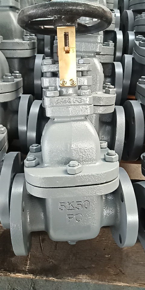 Marine Cast Steel Gate Valves JIS 7363C 5K