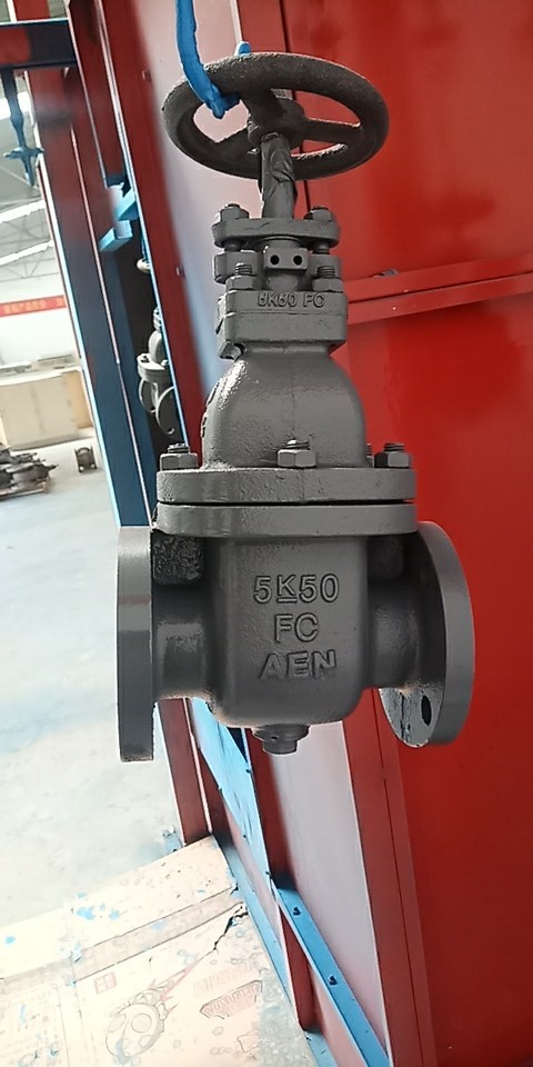 Marine Cast Steel Gate Valves JIS 7363C 5K