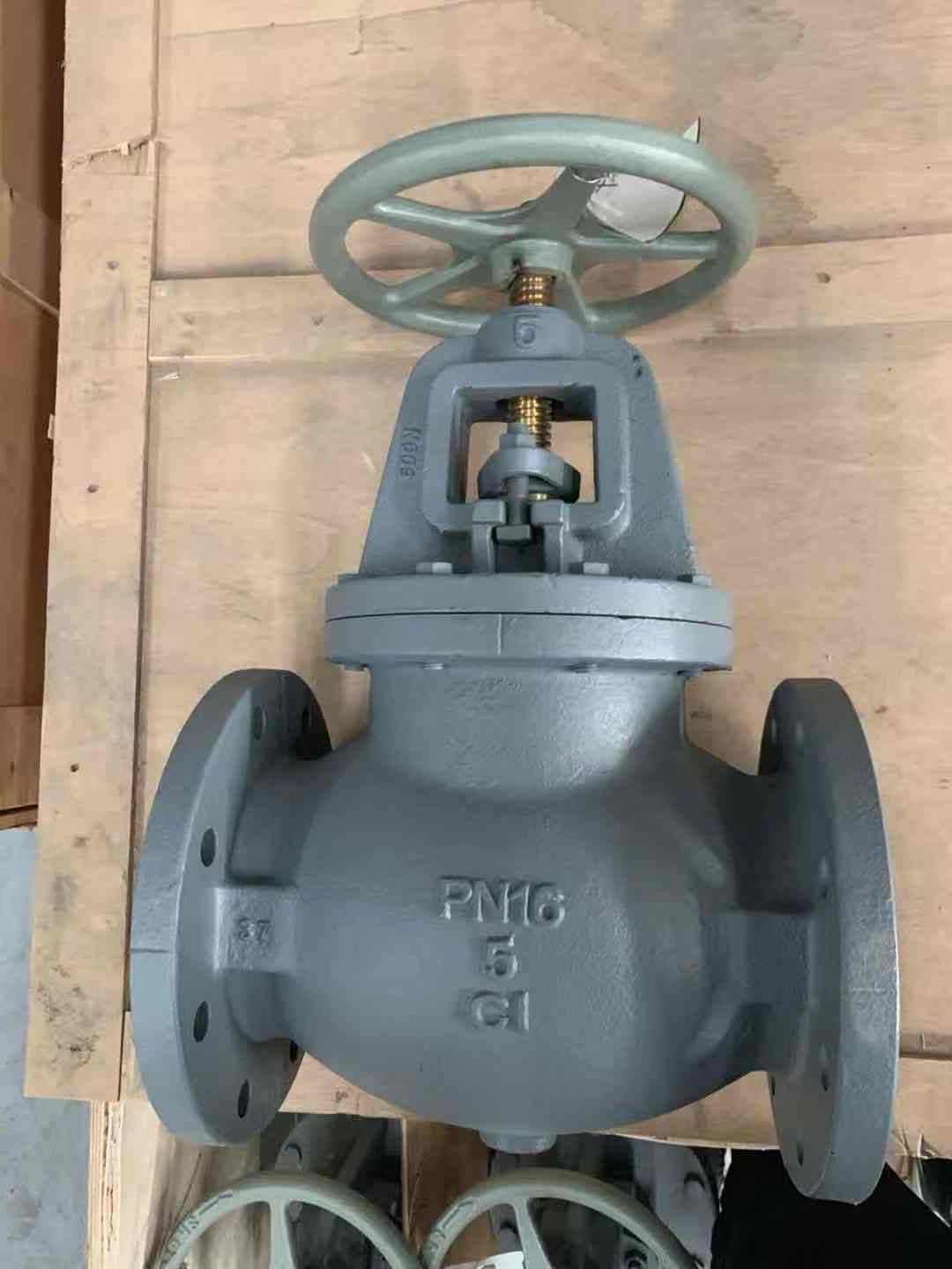 Marine Cast Iron Globe Valves JIS F7307 10K