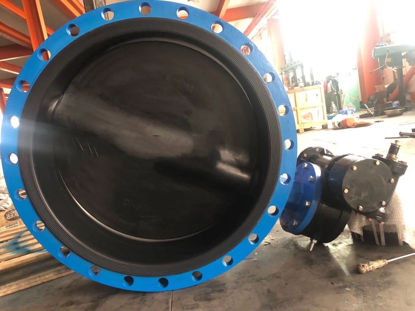 Flange centerline butterfly valve