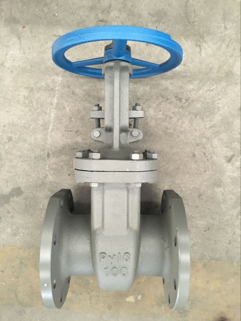 俄标铸钢闸阀Гост задвижка 30с41нж