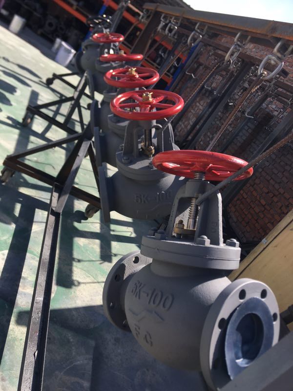 Marine Cast Iron Globe Valves JIS F7307 10K