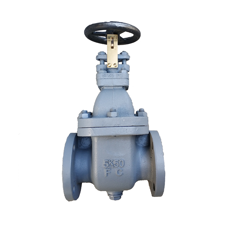 Marine Cast Iron Gate Valves5K、10K、16K