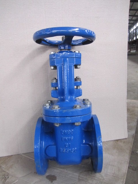 125LB Gate Valvee