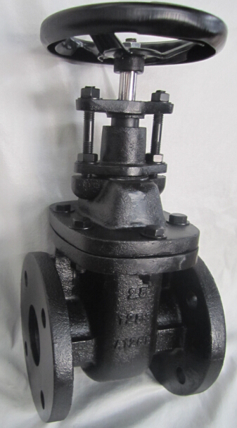 125LB Non Rising Stem Gate Valv