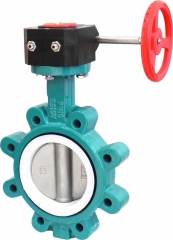 无针对夹式和耳式蝶阀