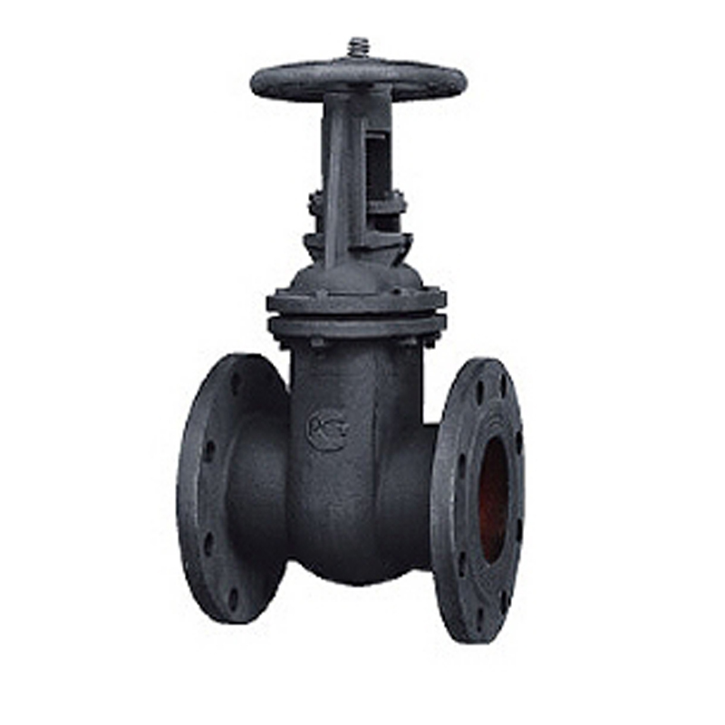 Гост Задвижка чугунная 30ч6бр  GOST Gate Valve EAC