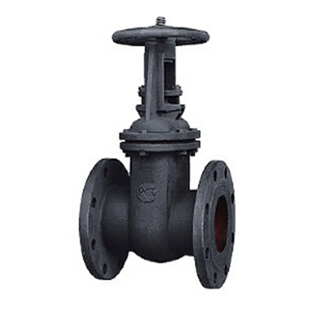 Гост Задвижка чугунная 30ч6бр GOST 闸阀 EAC