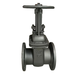 Гост Задвижка чугунная 30ч6бр GOST 闸阀 EAC