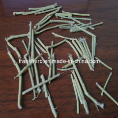 Natural Ephedra Herb Powder new stocks