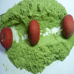 Organic Wheat Grass Powder wheat seeding powder