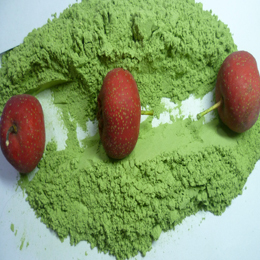 Organic Wheat Grass Powder wheat seeding powder