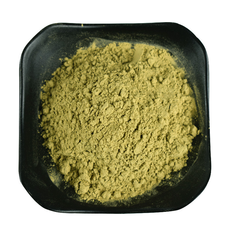 Organic Bitter Melon Powder 200 Mesh Manufacturer Supply
