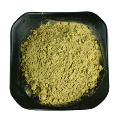 Organic Bitter Melon Powder 200 Mesh Manufacturer Supply