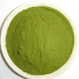 Organic Wheat Grass Powder wheat seeding powder