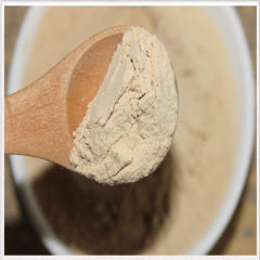 Beer Yeast Powder