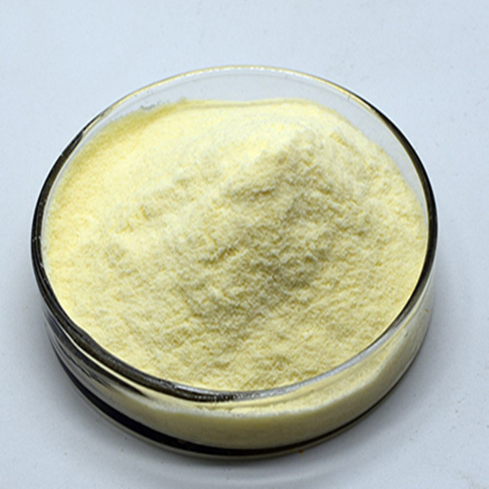 Lyophilized Royal Jelly powder natural source manufacturer supply Freeze-dried royal jelly powder