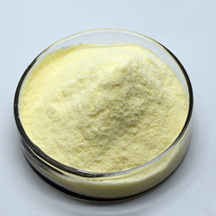 Lyophilized Royal Jelly powder natural source manufacturer supply Freeze-dried royal jelly powder