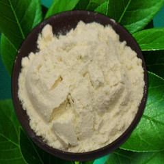 Lyophilized Royal Jelly powder 