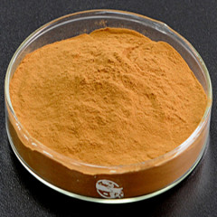 Organic Instant Oolong Tea Powder for Drinking, Ice Cream and Bakery  (Food and Drink Grade)