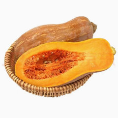 Organic Pumpkin Powder Food Supplement manufacturer supply