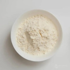 Natural Additives Papaya Fruit Extract Enzyme Papain Powder CAS 9001-73-4 manufacturer