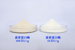 Nutritional Supplement Food Grade 600,000 u/g Enzyme activity Natural Bromelain Powder  CAS 9001-00-7 manufacturer