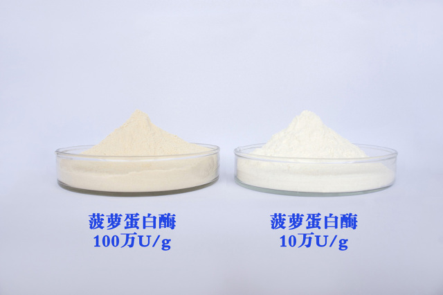 Nutritional Supplement Food Grade 600,000 u/g Enzyme activity Natural Bromelain Powder  CAS 9001-00-7 manufacturer