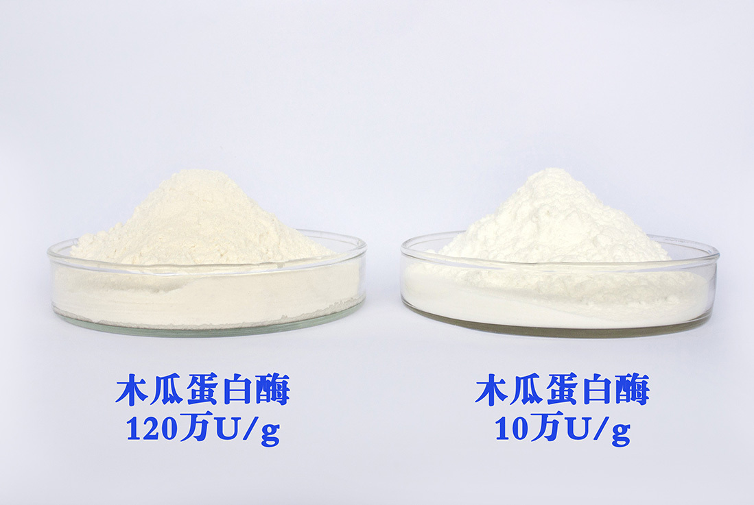 Natural Additives Papaya Fruit Extract Enzyme Papain Powder CAS 9001-73-4 manufacturer