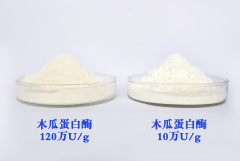 Natural Additives Papaya Fruit Extract Enzyme Papain Powder CAS 9001-73-4 manufacturer