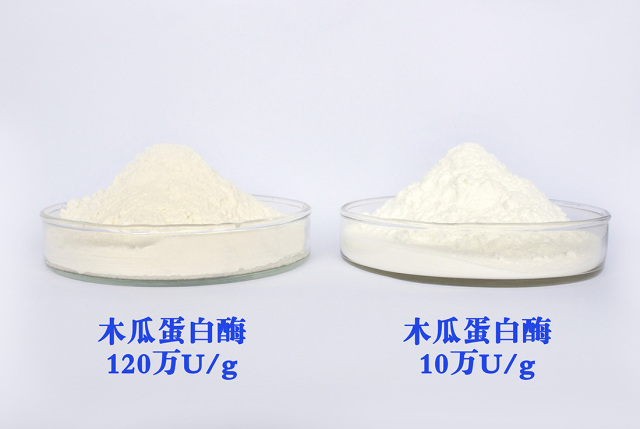 Natural Additives Papaya Fruit Extract Enzyme Papain Powder CAS 9001-73-4 manufacturer